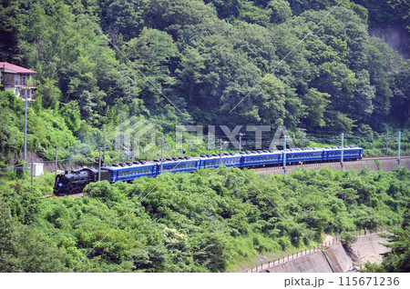 上越線 上牧ー水上 JR東日本 C61-20+12系(高崎) SLみなかみ 上越線 上牧ー水上 JR東日本 C61-20+12系(高崎) SLみなかみ 115671236