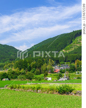 静岡県・富士宮市柚野付近の田舎風景 静岡県・富士宮市柚野付近の田舎風景 115672199