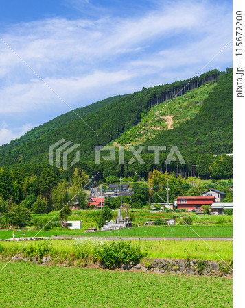 静岡県・富士宮市柚野付近の田舎風景 115672200