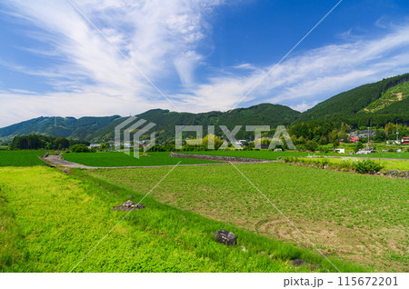静岡県・富士宮市柚野付近の田舎風景 静岡県・富士宮市柚野付近の田舎風景 115672201