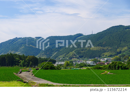 静岡県・富士宮市柚野付近の田舎風景 115672214