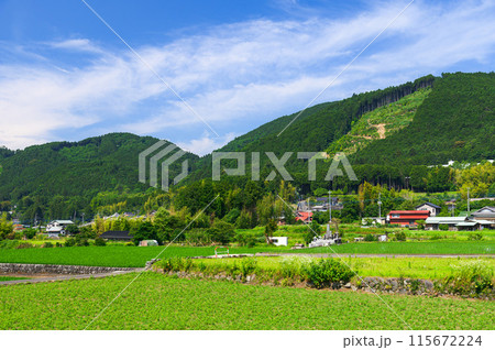 静岡県・富士宮市柚野付近の田舎風景 115672224