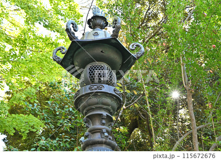 中山道熊谷宿散歩：高城神社　熊谷市宮町 115672676