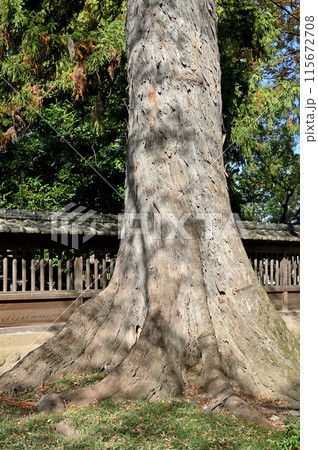 中山道熊谷宿散歩：高城神社　熊谷市宮町 115672708