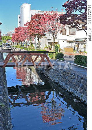 中山道熊谷宿散歩:星川 親水公園 中山道熊谷宿散歩:星川 親水公園 115672715