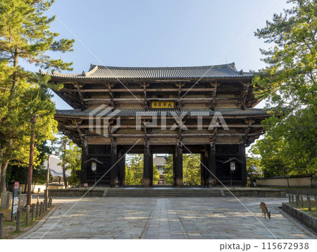 東大寺の南大門と鹿 東大寺の南大門と鹿 115672938