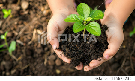 Child holding a green plant 115673230