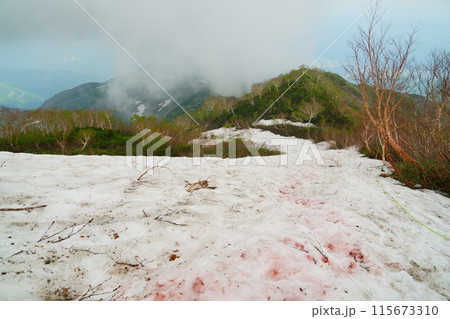 唐松岳登山道に積もった雪 唐松岳登山道に積もった雪 115673310