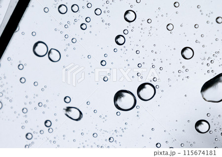 ビニール傘に滴る雨 115674181