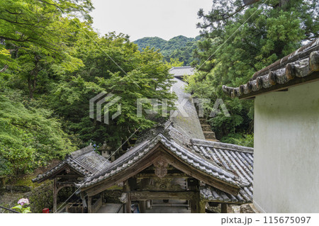 6月の長谷寺(奈良県) 登廊の屋根 6月の長谷寺(奈良県) 登廊の屋根 115675097