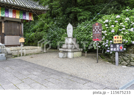 6月の長谷寺（奈良県）開山堂 115675233