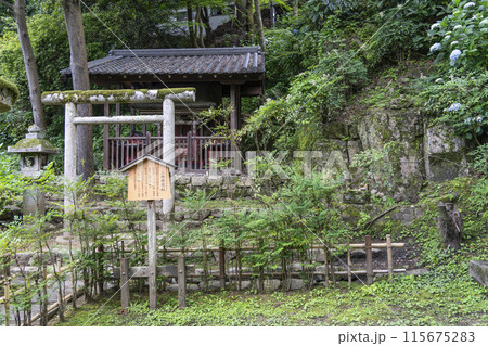 6月の長谷寺（奈良県）三部権現社 115675283