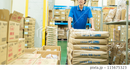 倉庫で働く若い男性ドライバー 115675323