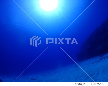 幻想的な海中 115675588