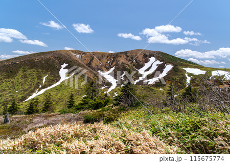 白根山の残雪 115675774
