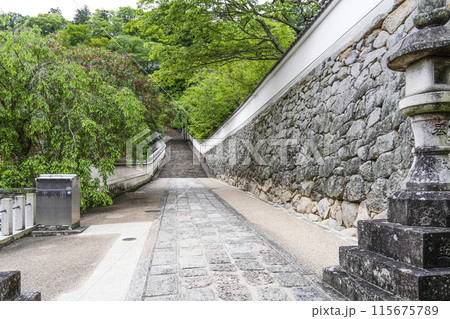 6月の長谷寺(奈良県)境内 6月の長谷寺(奈良県)境内 115675789