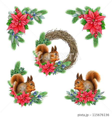 Winter season vintage style decor set with squirrel. Watercolor illustration. Painted cozy Christmas time decoration element set with conifer, poinsettia, squirrel. Winter time decor collection 115676136