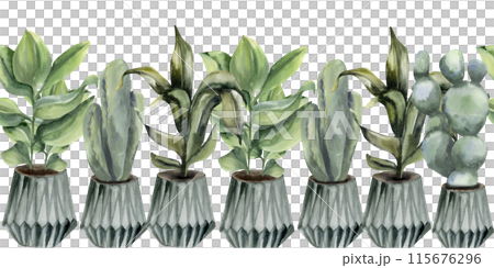 Houseplants in pots watercolor seamless banners. Hand drawn borders on boho cozy home floral elements. cactus, palm in grey scandy pots for flower shop, packing, logo, salon poster design.Interior 115676296