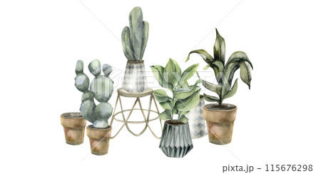 Boho cozy home composition with potted plants and wooden scandy table watercolor illustration. Hand drawn boho interior with floral elements for salon,shop logo design. Cactus and green leaves 115676298