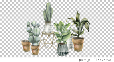 Boho cozy home composition with potted plants and wooden scandy table watercolor illustration. Hand drawn boho interior with floral elements for salon,shop logo design. Cactus and green leaves 115676298