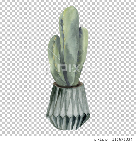 Green home cactus in grey pot watercolor illustration. Decorative set greenery collection. Home plants potted for greeting card, banner, invintation print 115676334