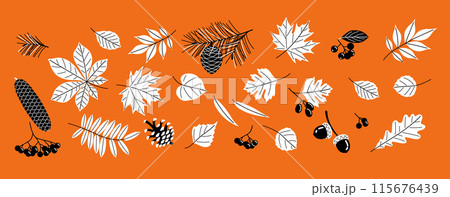 A colorful orange background with a variety of leaves and berries A colorful orange background with a variety of leaves and berries 115676439