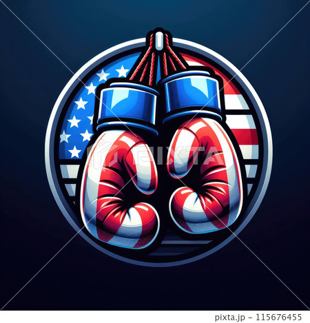 American boxing gloves with flag design 115676455