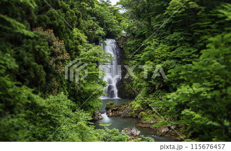 秋田県 奈曽の白滝 秋田県 奈曽の白滝 115676457