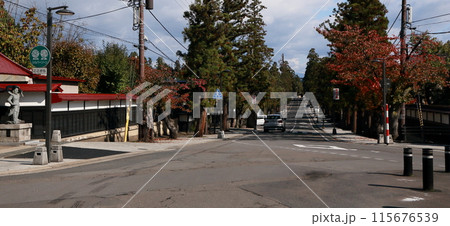 弘前市禅林街の並木道 弘前市禅林街の並木道 115676539