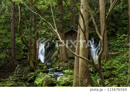 胴腹滝 里の名水・やまがた百選 胴腹滝 里の名水・やまがた百選 115676569