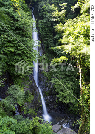 洒水の滝　しゃすいのたき 115676702