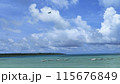 宮古島の青い海と青空 115676849