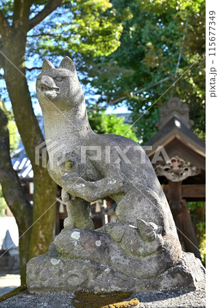 中山道熊谷宿散歩：奴伊奈利神社　熊谷市仲町 115677349