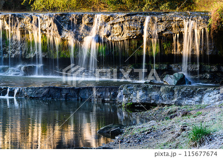 黒滝 黒滝 115677674