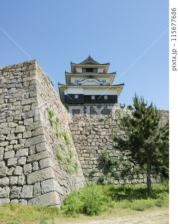 丸亀城 三の丸北側からの天守 丸亀城 三の丸北側からの天守 115677686