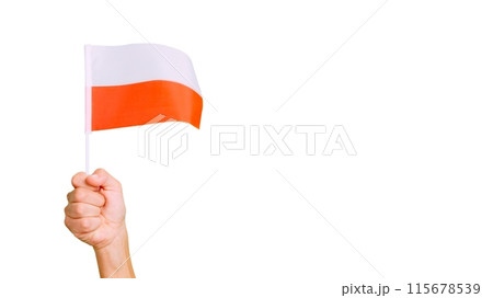 Wind waving a polish pennant holding by a hand 115678539