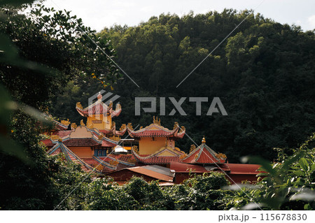 View at Suoi Do temple, Vietnam 115678830