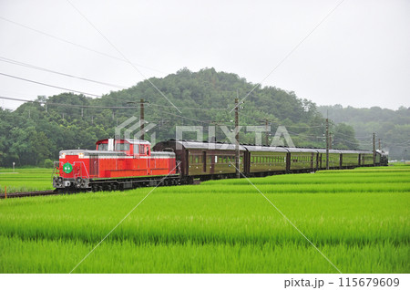 信越本線　磯部ー安中　JR東日本　DD51-842＋旧客＋C61-20　DLレトロ碓氷 115679609