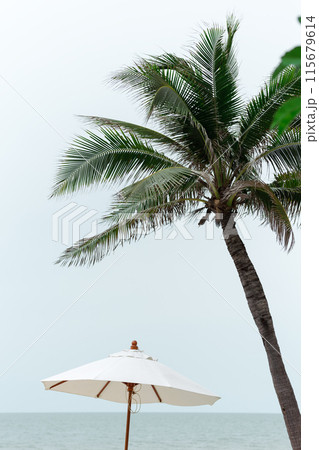 Solitary umbrella and palm tree stand against the serene grey canvas of the sky. Solitary umbrella and palm tree stand against the serene grey canvas of the sky. 115679614