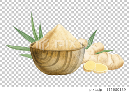 Ground garlic powder, ginger roots and leaves and rustic wooden bowl watercolor illustration isolated on white. Dry and raw spices with leaves for cooking, seasoning food and healthy dishes 115680189