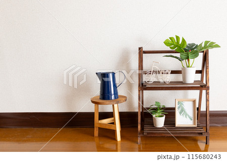 リビングに置かれた観葉植物 115680243