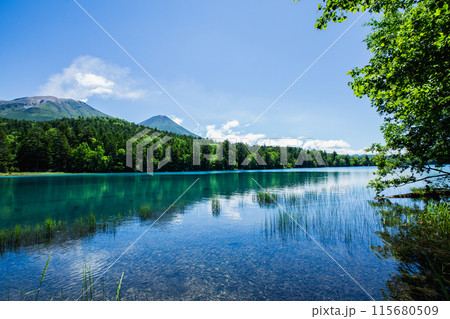 夏のオンネトー 夏のオンネトー 115680509