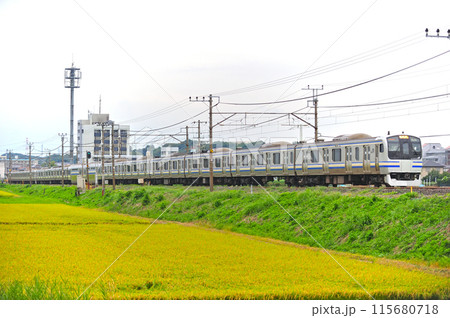 内房線　袖ケ浦ー巌根　JR東日本　E217系　Y-15編成（鎌倉） 115680718