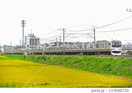 内房線　袖ケ浦ー巌根　JR東日本　E217系　Y-9編成（鎌倉） 115680720