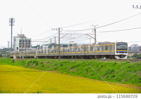 内房線 袖ケ浦ー巌根 JR東日本 209系3100番台 C433+C414編成(幕張) 内房線 袖ケ浦ー巌根 JR東日本 209系3100番台 C433+C414編成(幕張) 115680729