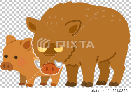 子供を守る親イノシシ 115680833