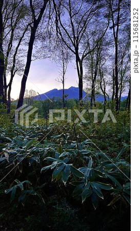 【長野県 信濃町】黒姫高原 大学村から見た妙高山 【長野県 信濃町】黒姫高原 大学村から見た妙高山 115681252