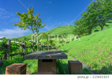 初夏の青空を背景に大自然の俵山と周辺風景 (観光スポット俵山 交流館 萌の里) 初夏の青空を背景に大自然の俵山と周辺風景 (観光スポット俵山 交流館 萌の里) 115681925