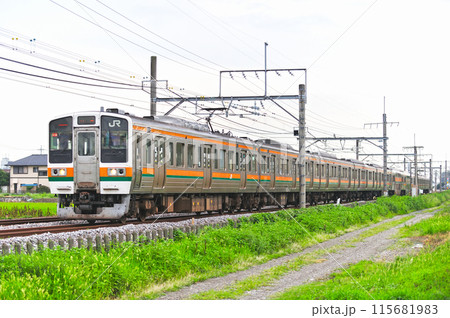 高崎線　行田ー熊谷　JR東日本　211系　C14編成（高崎） 115681983