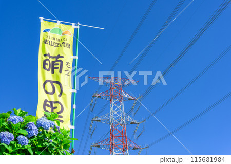 初夏の青空を背景にアジサイと電線・電柱　(観光スポット俵山　交流館　萌の里) 115681984